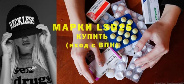 прущие грибы Алексеевка