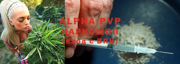 прущие грибы Алексеевка