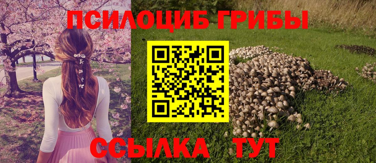 Псилоцибиновые грибы MAGIC MUSHROOMS  дарнет шоп  Тара  Вход с VPN 