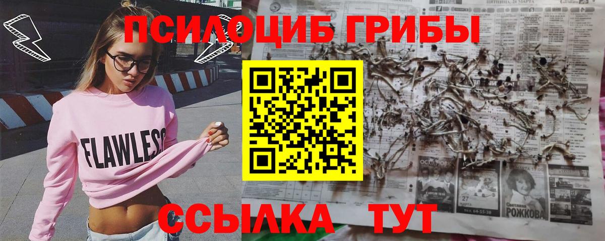 Псилоцибиновые грибы Psilocybe Тара